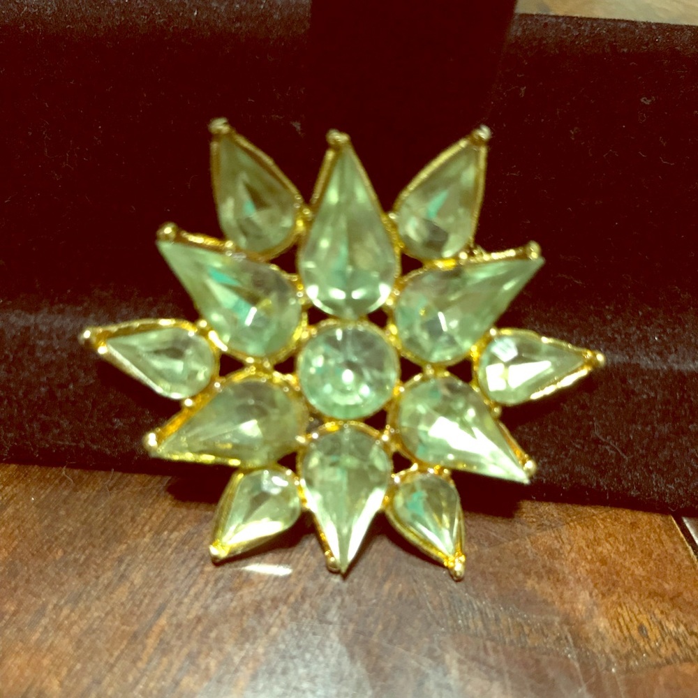 Fashion Brooch
